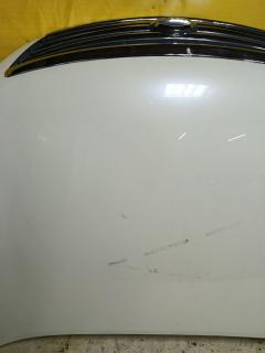 Капот на Nissan Teana J32 VQ25DE Фото 10