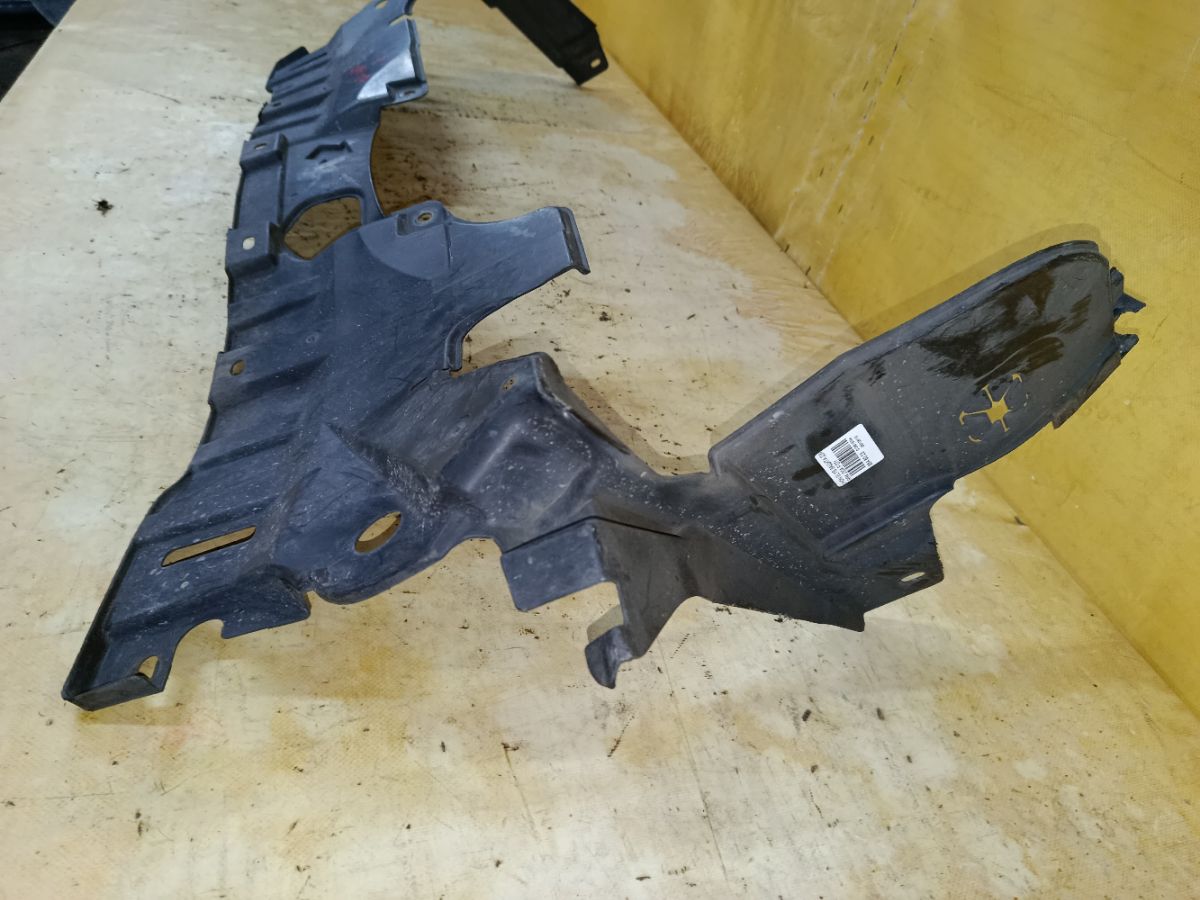 Защита двигателя на Honda Elysion RR4 J30A Фото 2