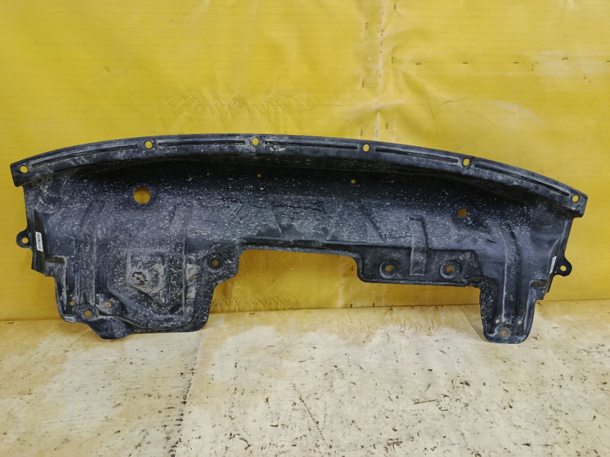 Защита бампера 75891-1JA0A на Nissan Elgrand TE52 Фото 4