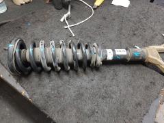 Стойка амортизатора на Honda Elysion RR1 K24A Фото 6