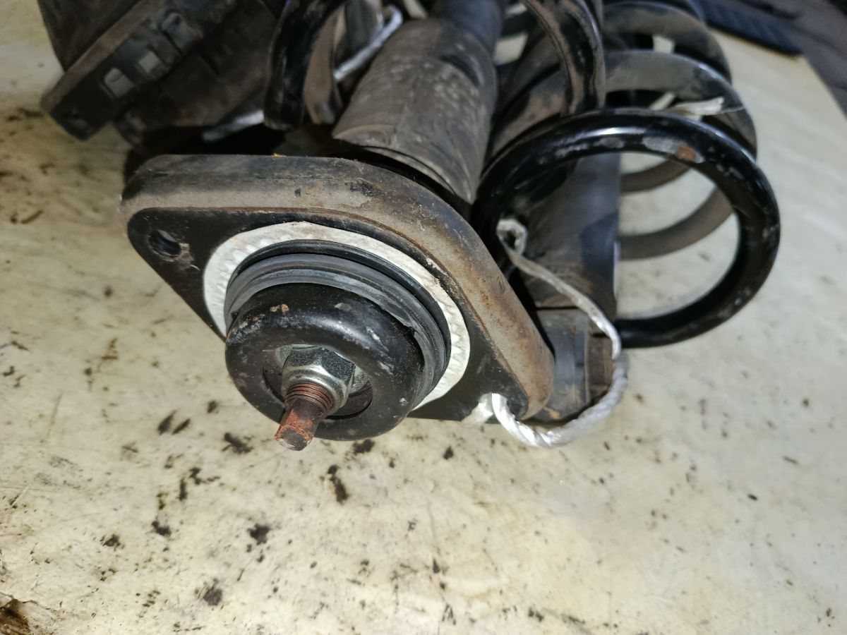 Амортизатор на Nissan Elgrand TE52 Фото 6