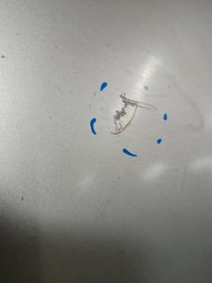 Капот на Mazda Axela BKEP Фото 6