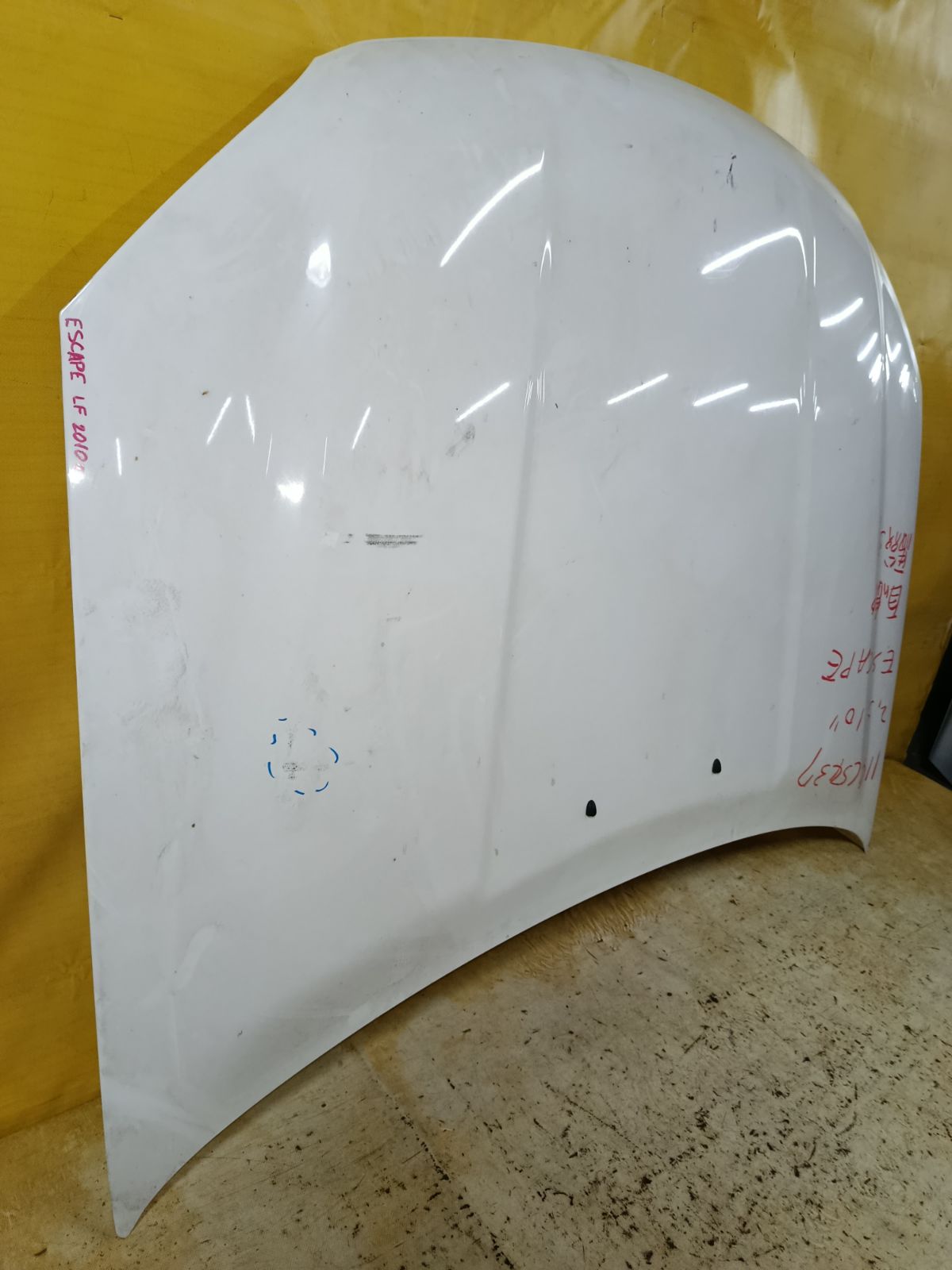 Капот на Ford Escape LFAL3P Фото 4