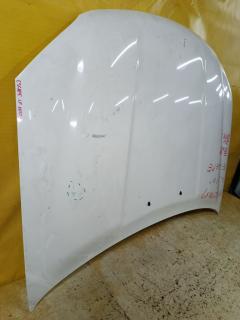 Капот на Ford Escape LFAL3P Фото 4