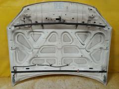 Капот на Ford Escape LFAL3P Фото 6