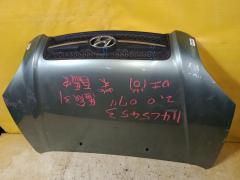 Капот на Hyundai Tucson 1 JM Фото 2