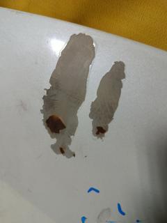 Капот на Suzuki Sx4 YC21S Фото 6