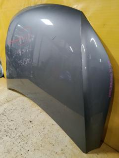 Капот на Volkswagen Tiguan 5N Фото 3