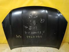 Капот на Ford Escape LFAL3P Фото 2