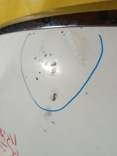 Капот на Ford Mondeo 4 Фото 5