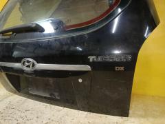 Дверь задняя на Hyundai Tucson 1 JM Фото 7