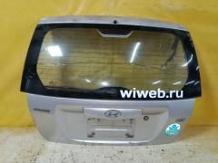 Дверь задняя на Hyundai Getz