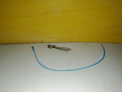 Дверь задняя на Ford Focus 3 Фото 5