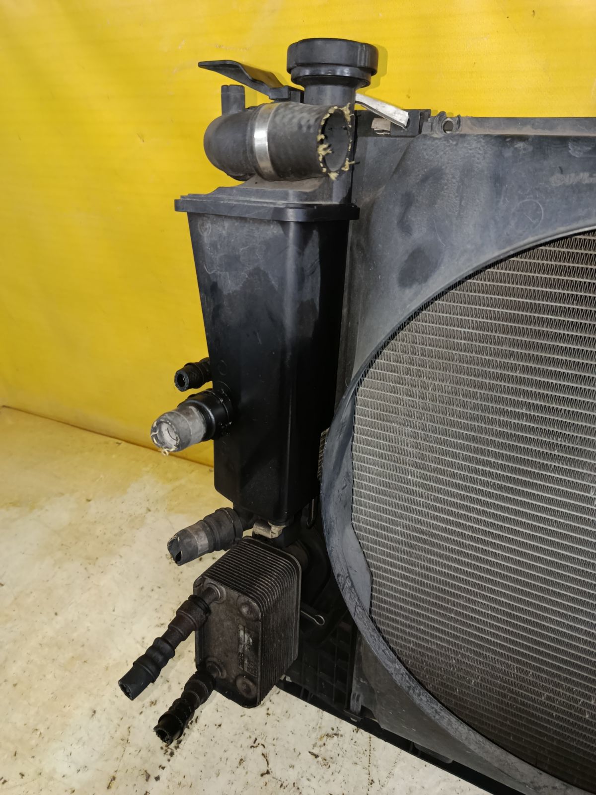 Радиатор ДВС 83815431, 6921381 на Bmw X5 E53-FA53 M54 Фото 6