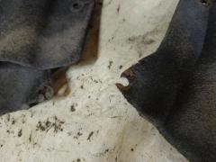 Подкрылок на Ford Focus 2 Фото 2