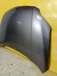 Капот 53301-12A30, 5330112A30, D25STTY310150, STTY310150, TY20162AJ на Toyota Corolla Fielder NZE144G Фото 3