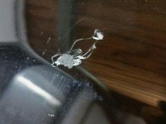 Капот на Toyota Vanguard ACA33W Фото 8