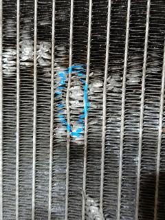 Радиатор ДВС на Subaru Impreza Wagon GH3 EL154 Фото 2