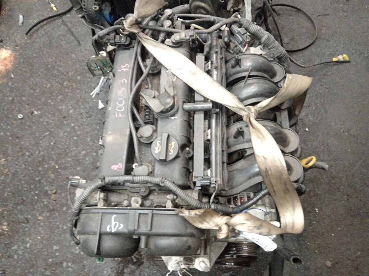 Двигатель на Ford Focus 3 PNDA Фото 2