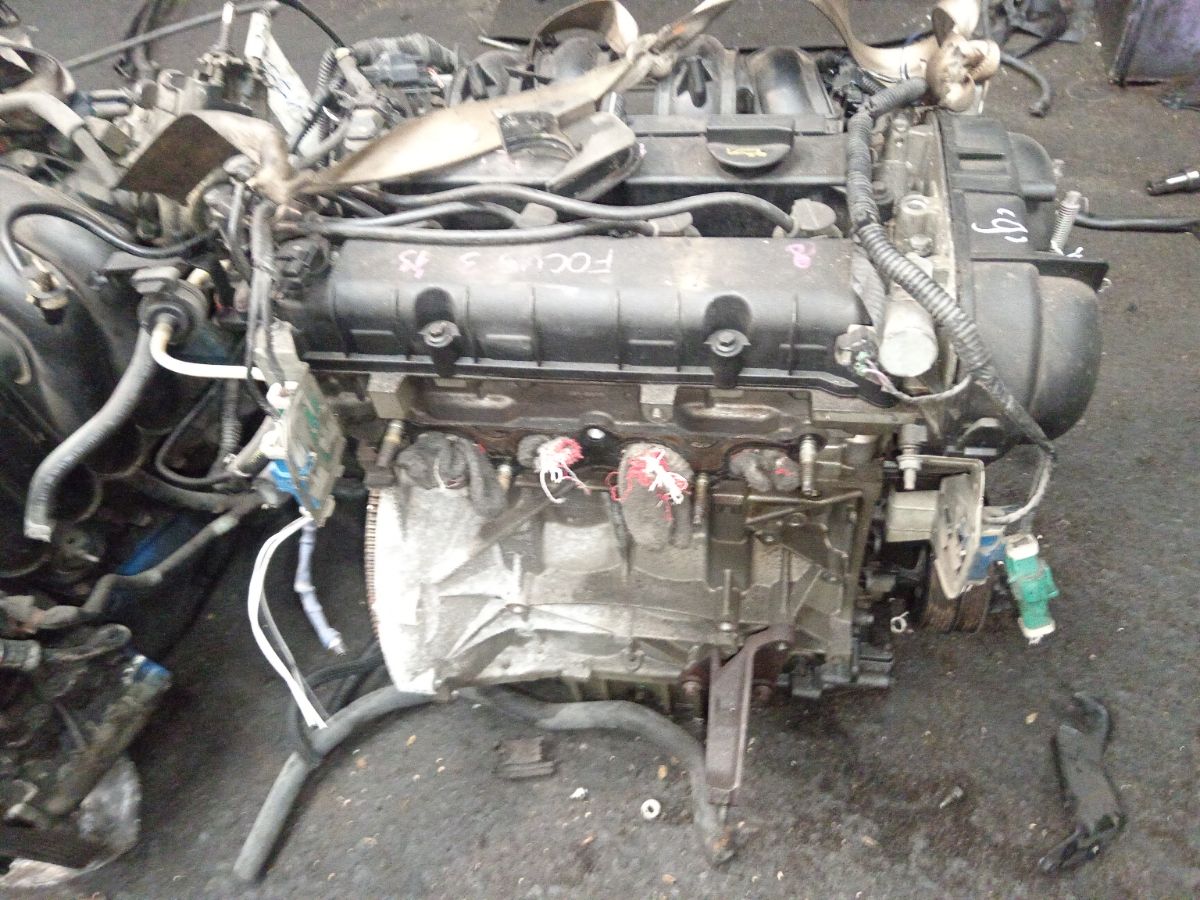 Двигатель на Ford Focus 3 PNDA Фото 3