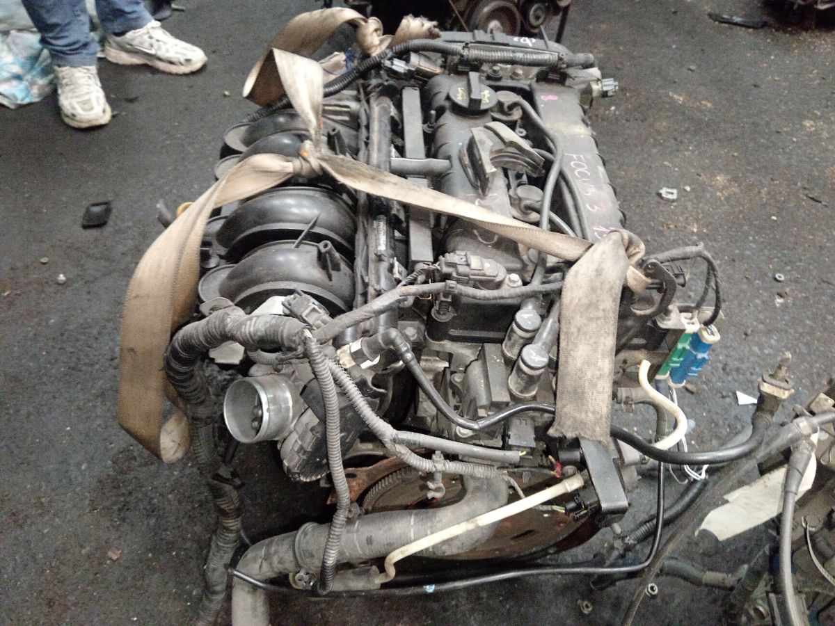 Двигатель на Ford Focus 3 PNDA Фото 4