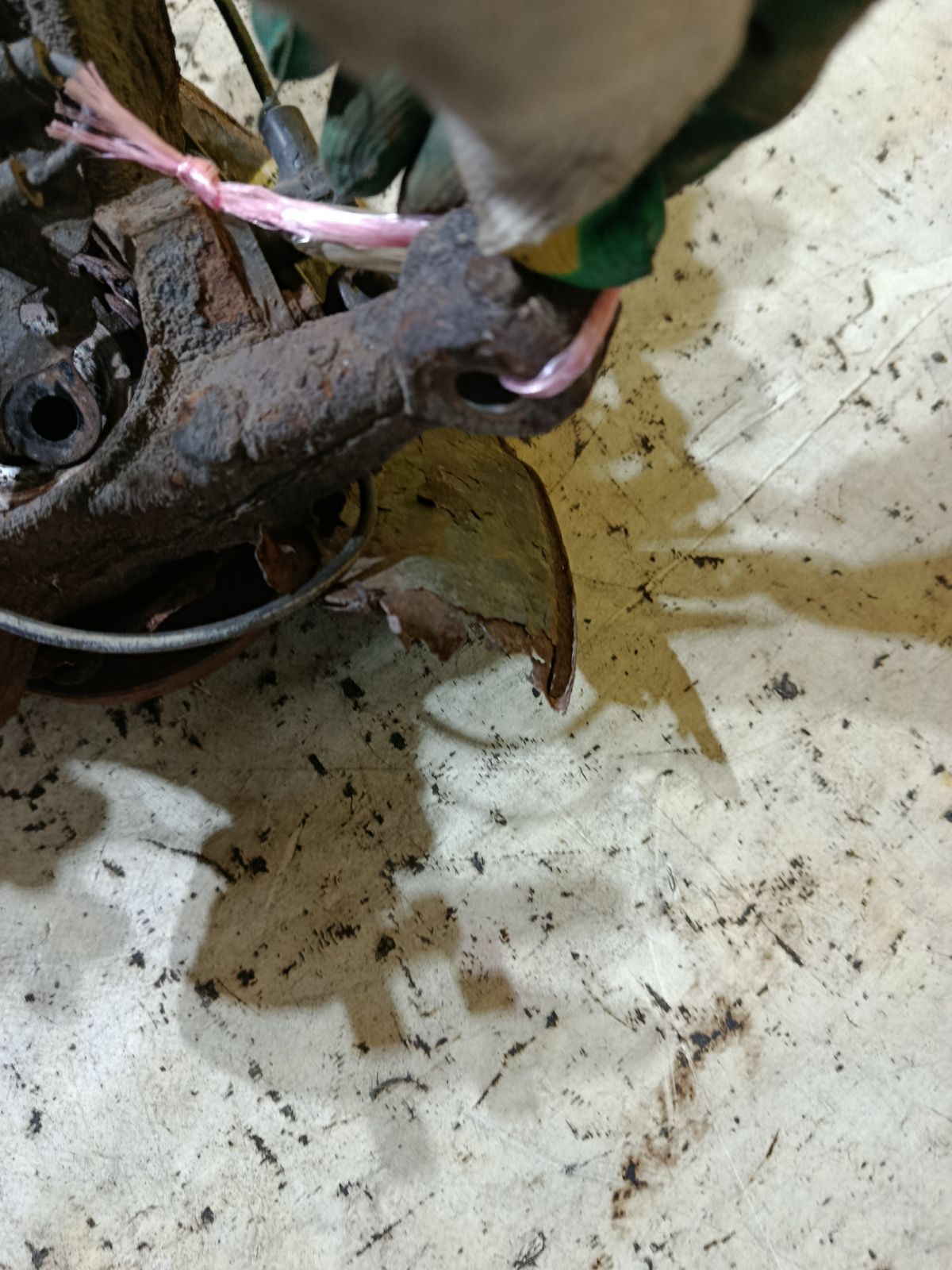 Ступица на Toyota Corolla Fielder NZE144G 1NZ-FE Фото 5