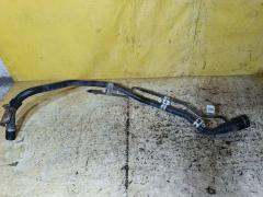 Заливная горловина топливного бака на Toyota Noah ZRR70G 3ZR-FAE Фото 2