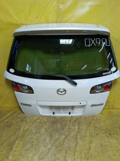 Дверь задняя на Mazda Demio DY3W P4420