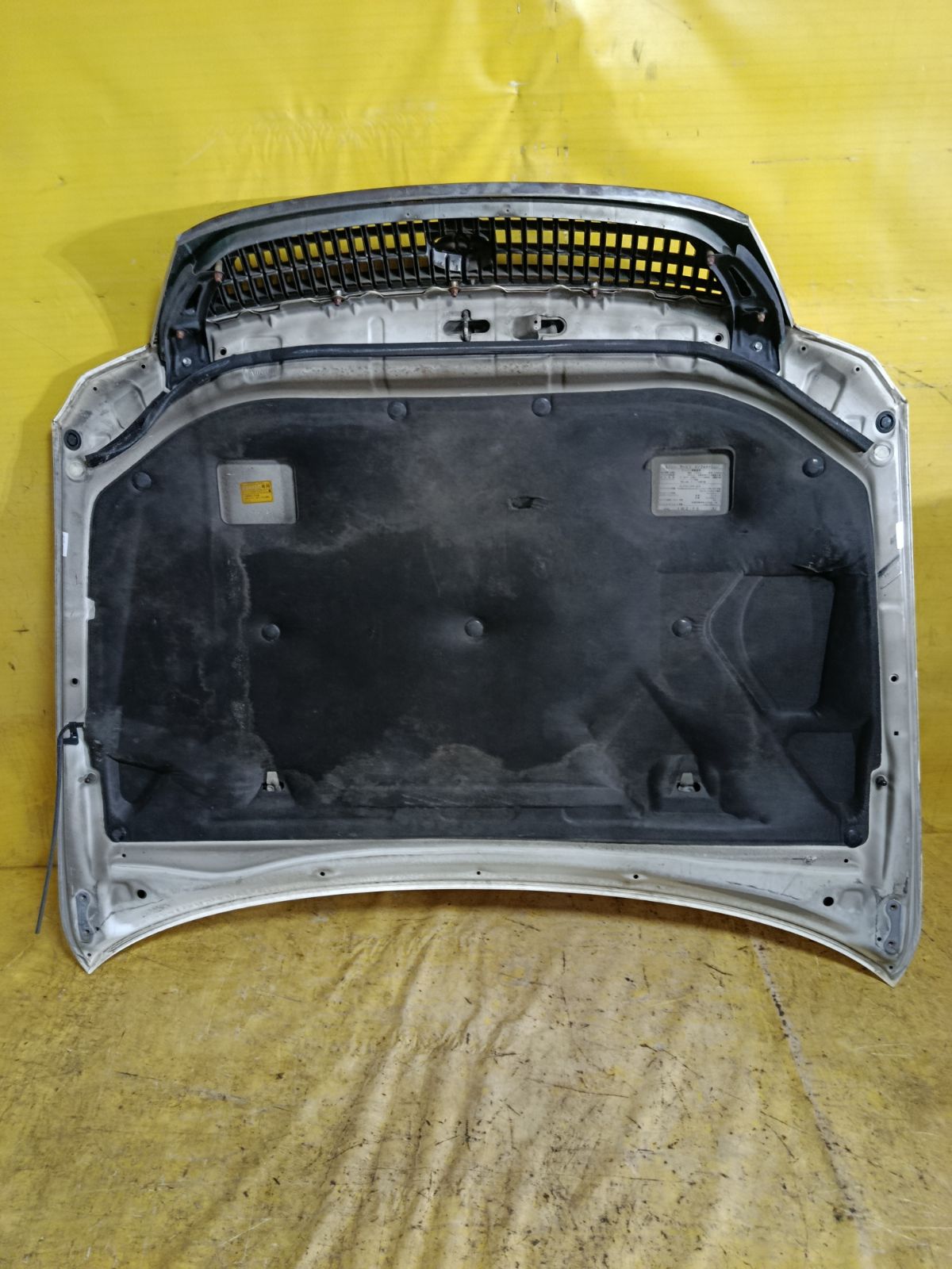 Капот на Toyota Pronard MCX10 Фото 3