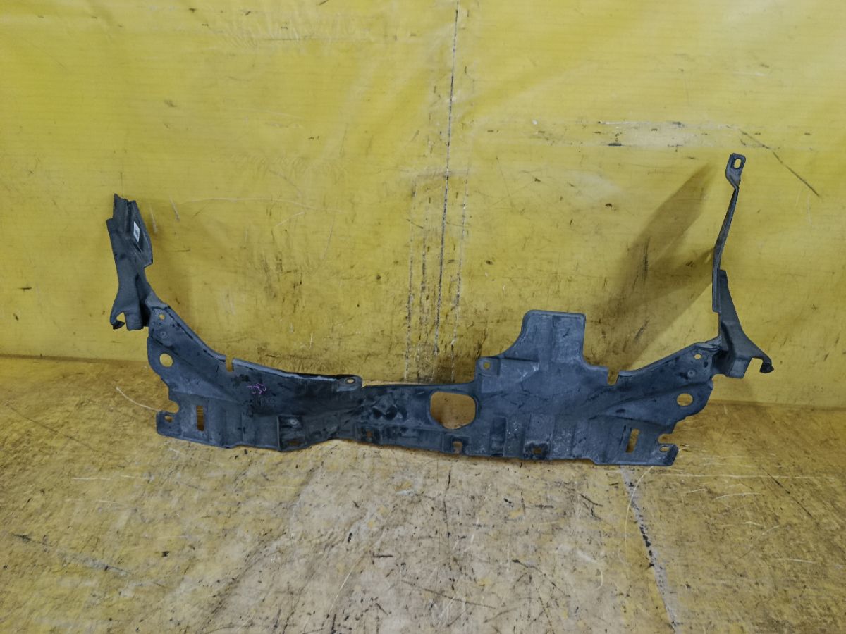 Защита двигателя на Honda Elysion RR2 K24A Фото 1